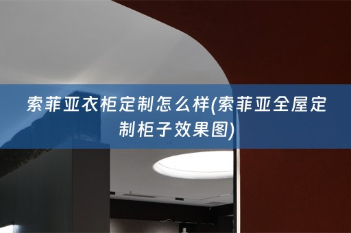 索菲亚衣柜定制怎么样(索菲亚柜子效果图)