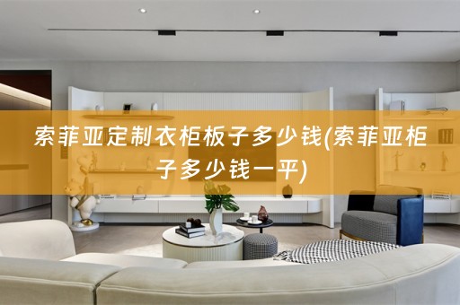 索菲亚定制衣柜板子多少钱(索菲亚柜子多少钱一平)