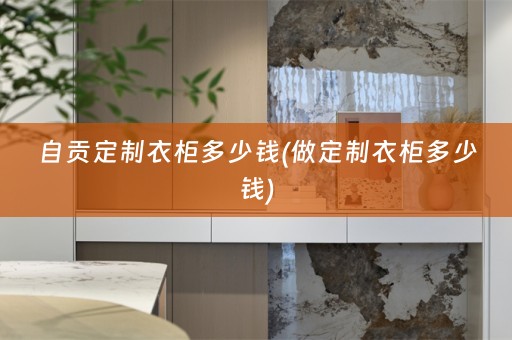 自贡定制衣柜多少钱(做定制衣柜多少钱)