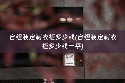 自组装定制衣柜多少钱(自组装定制衣柜多少钱一平)