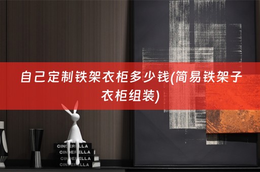 自己定制铁架衣柜多少钱(简易铁架子衣柜组装)