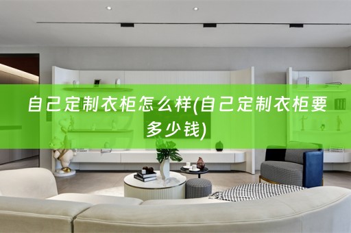 自己定制衣柜怎么样(自己定制衣柜要多少钱)