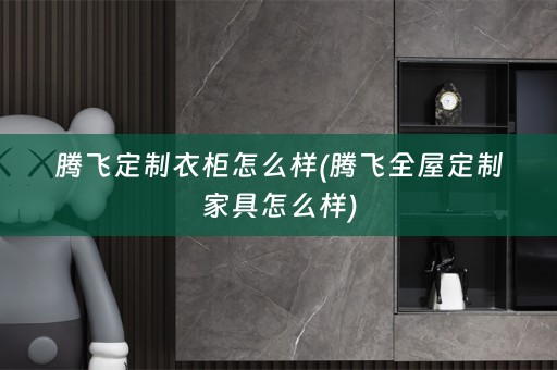 腾飞定制衣柜怎么样(腾飞家具怎么样)