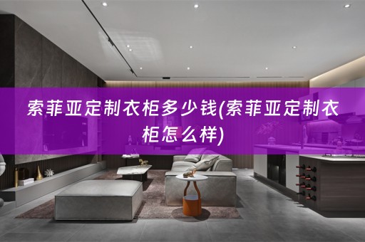 索菲亚定制衣柜多少钱(索菲亚定制衣柜怎么样)