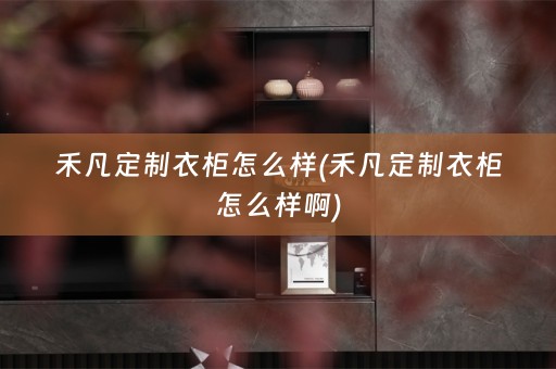 禾凡定制衣柜怎么样(禾凡定制衣柜怎么样啊)