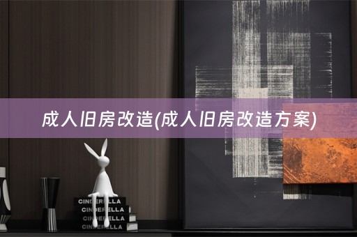 成人旧房改造(成人旧房改造方案)