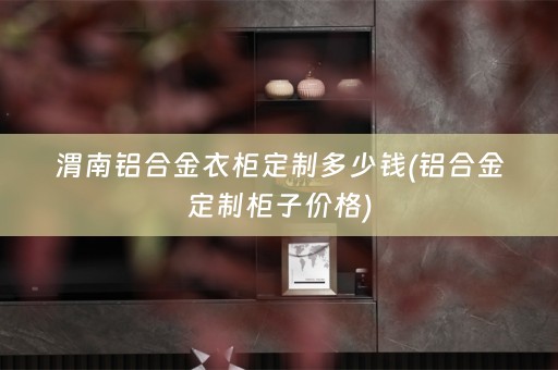 渭南铝合金衣柜定制多少钱(铝合金定制柜子价格)