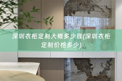 深圳衣柜定制大概多少钱(深圳衣柜定制价格多少)
