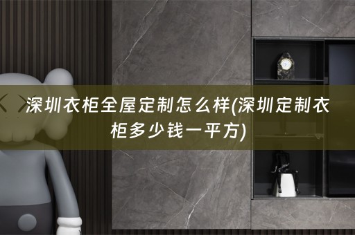 深圳衣柜怎么样(深圳定制衣柜多少钱一平方)