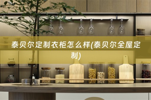 泰贝尔定制衣柜怎么样(泰贝尔)