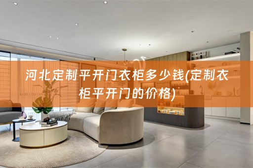 河北定制平开门衣柜多少钱(定制衣柜平开门的价格)