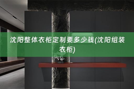 沈阳整体衣柜定制要多少钱(沈阳组装衣柜)