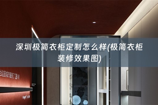 深圳极简衣柜定制怎么样(极简衣柜装修效果图)