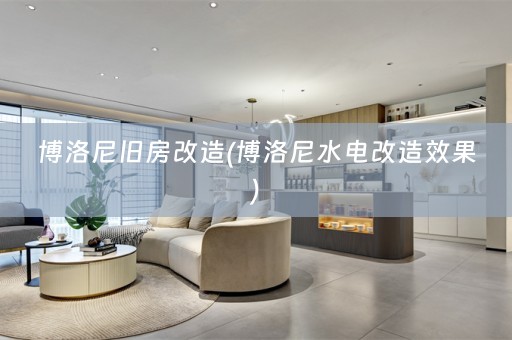 博洛尼旧房改造(博洛尼水电改造效果)