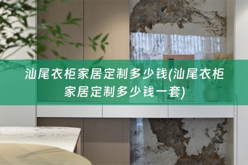 汕尾衣柜家居定制多少钱(汕尾衣柜家居定制多少钱一套)