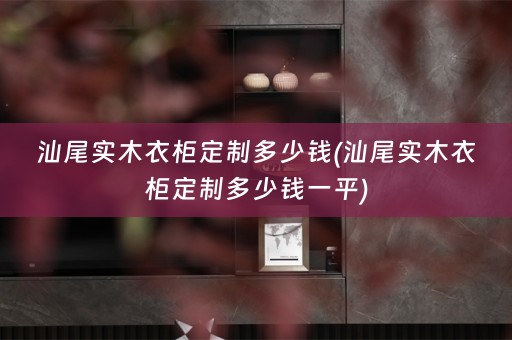 汕尾实木衣柜定制多少钱(汕尾实木衣柜定制多少钱一平)