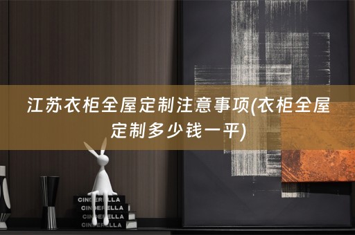 江苏衣柜多少钱一平)