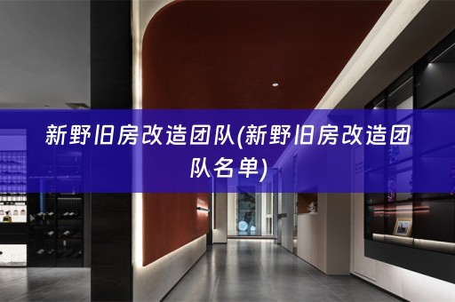 新野旧房改造团队(新野旧房改造团队名单)
