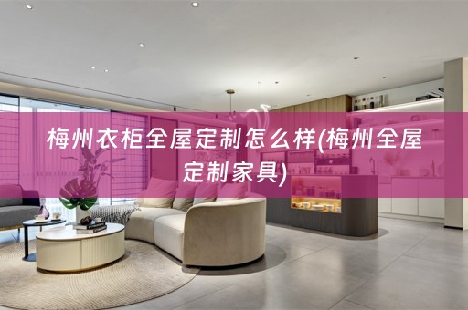 梅州衣柜家具)