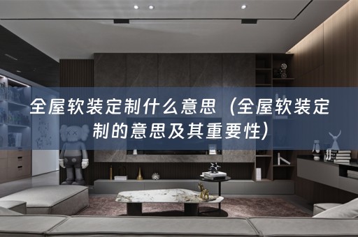 全屋定制的意思及其重要性）