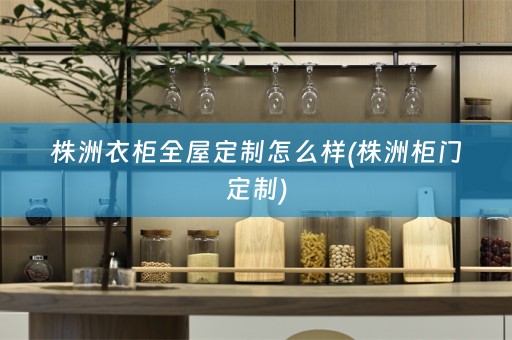 株洲衣柜怎么样(株洲柜门定制)