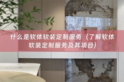 什么是软体定制服务及其项目）