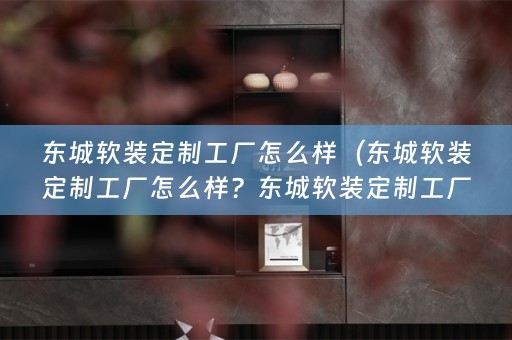 东城定制工厂怎么样啊？）