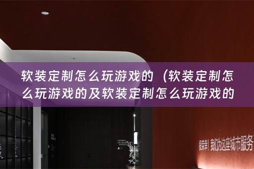 定制怎么玩游戏的视频）