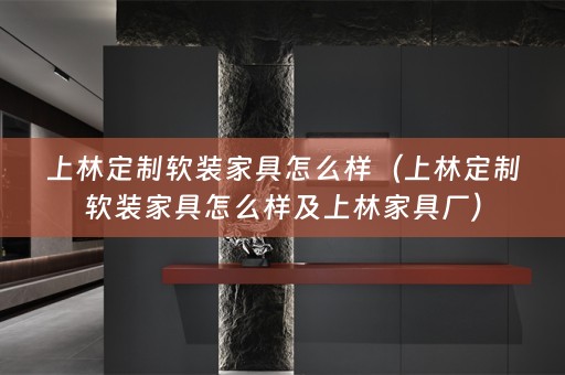 上林定制家具怎么样及上林家具厂）