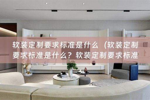 定制要求标准是什么意思？）