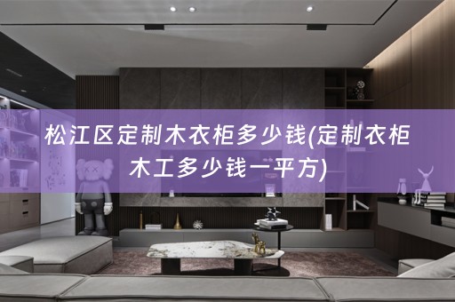 松江区定制木衣柜多少钱(定制衣柜木工多少钱一平方)