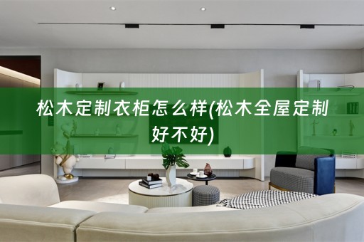 松木定制衣柜怎么样(松木好不好)