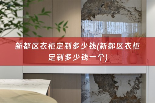 新都区衣柜定制多少钱(新都区衣柜定制多少钱一个)