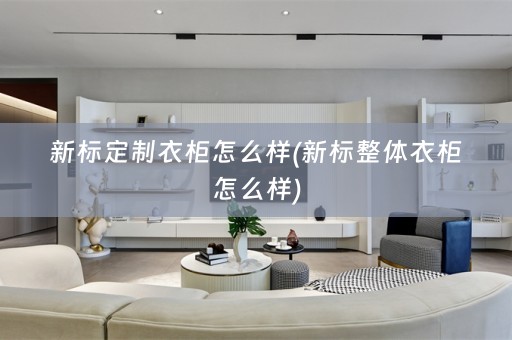 新标定制衣柜怎么样(新标整体衣柜怎么样)