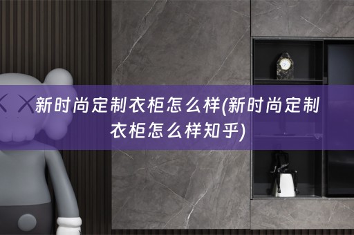 新时尚定制衣柜怎么样(新时尚定制衣柜怎么样知乎)