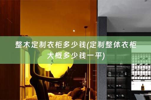整木定制衣柜多少钱(定制整体衣柜大概多少钱一平)