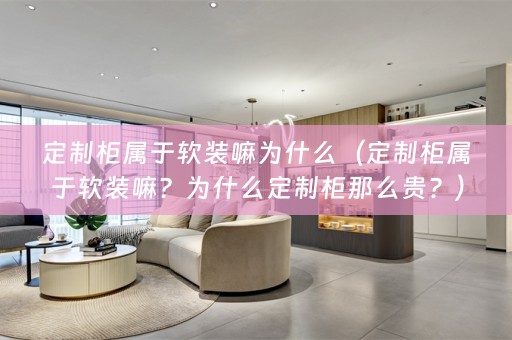 定制柜属于嘛？为什么定制柜那么贵？）