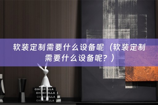 定制需要什么设备呢？）