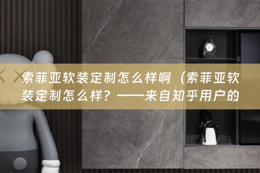 索菲亚定制怎么样？——来自知乎用户的评价与推荐）