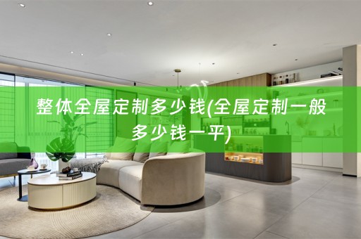整体一般多少钱一平)