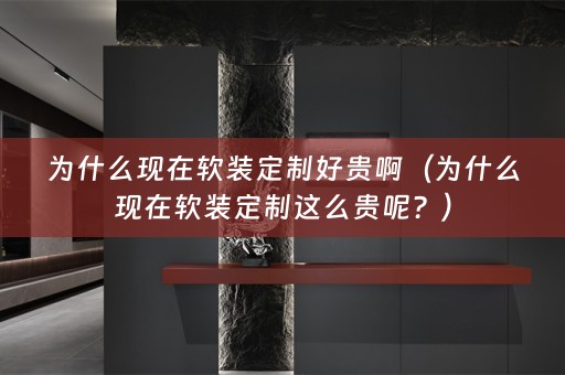 为什么现在定制这么贵呢？）