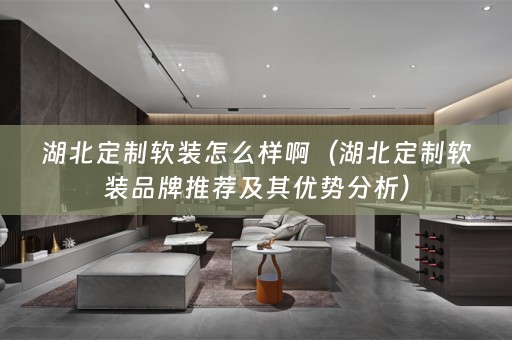 湖北定制品牌推荐及其优势分析）