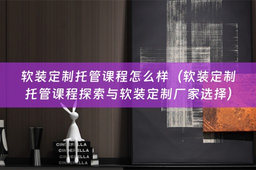 定制厂家选择）