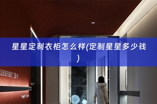 星星定制衣柜怎么样(定制星星多少钱)
