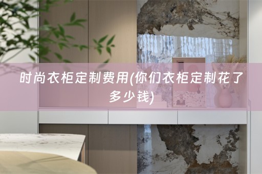 时尚衣柜定制费用(你们衣柜定制花了多少钱)