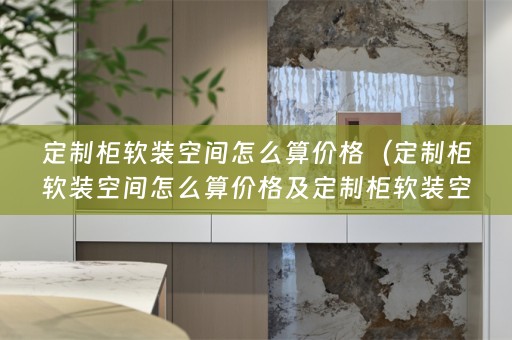 定制柜空间怎么算价格的详细描述）
