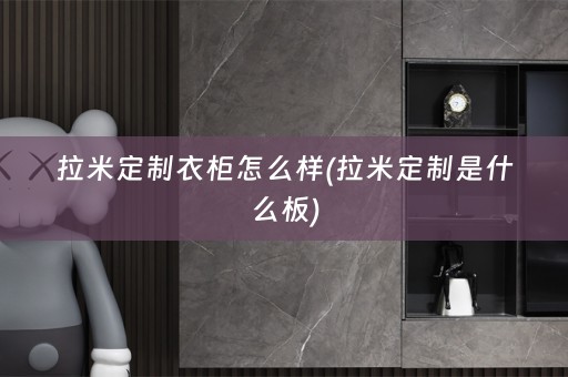 拉米定制衣柜怎么样(拉米定制是什么板)