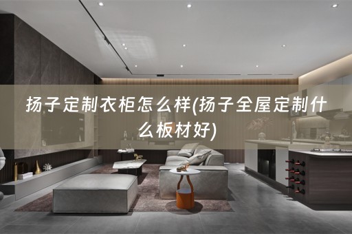 扬子定制衣柜怎么样(扬子什么板材好)