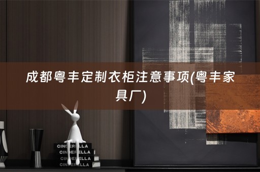成都粤丰定制衣柜注意事项(粤丰家具厂)