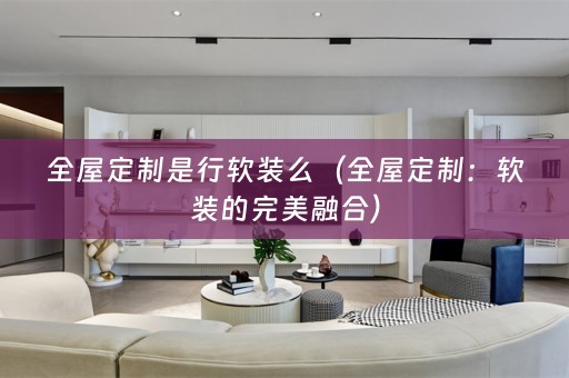 全屋定制是行的完美融合）